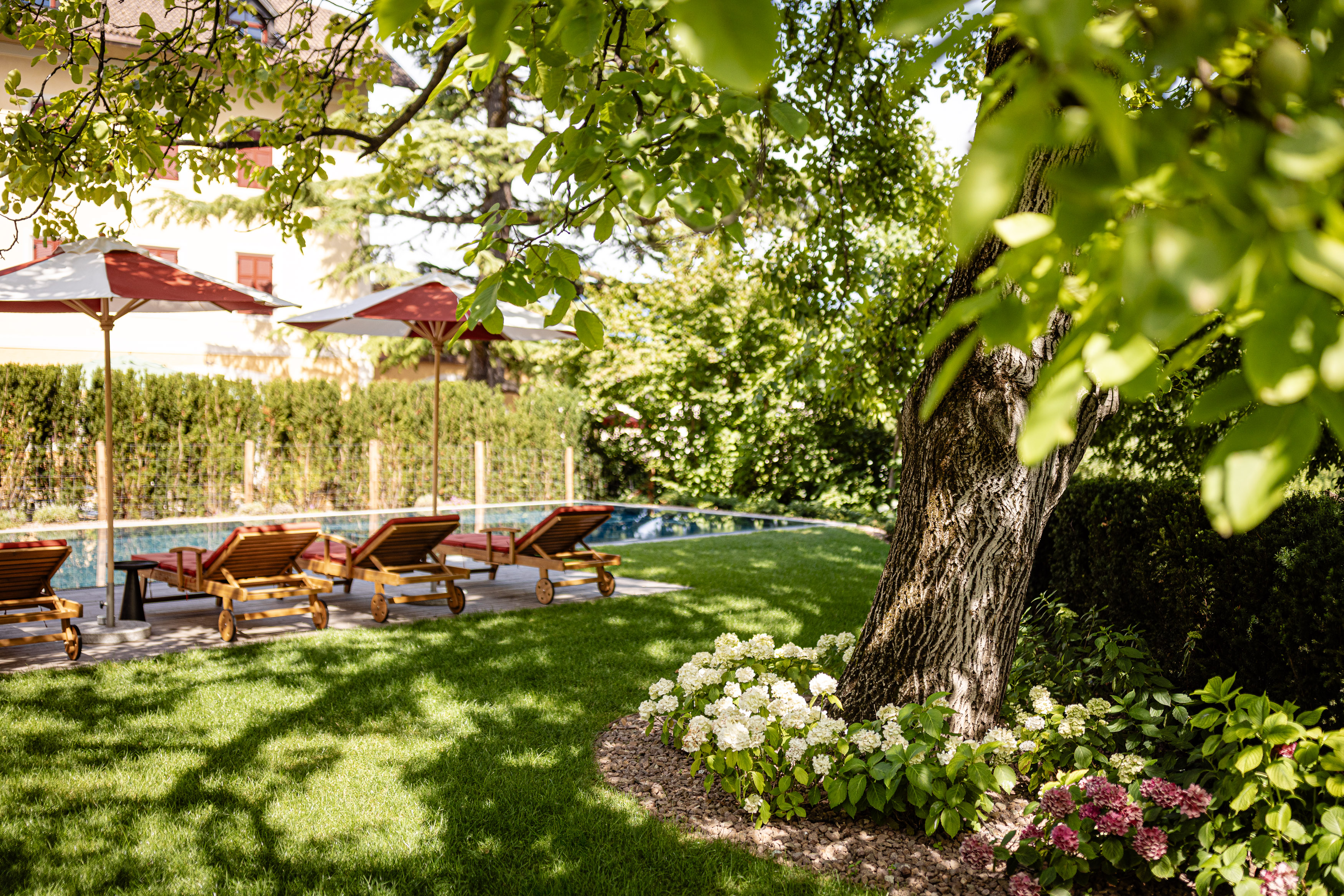 Castel Sallegg Suites: Adults-only Boutiquehotel im Weingut Garten mit Liegestühlen und Sonnenschirmen neben einem Pool